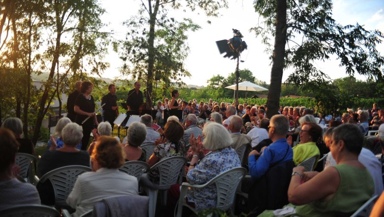Pleyel Museum, Konzert, © IPG Pleyel Museum, Konzert, © IPG