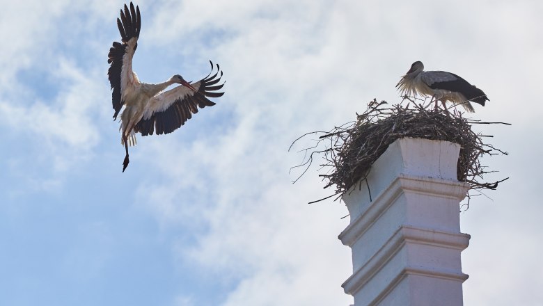 Ein Storch fliegt zu einem Nest auf einem wei&szlig;en Schornstein, in dem ein anderer Storch steht, vor blauem Himmel.