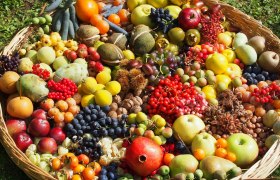 Ein großer Korb voller verschiedener bunter Früchte auf Gras.