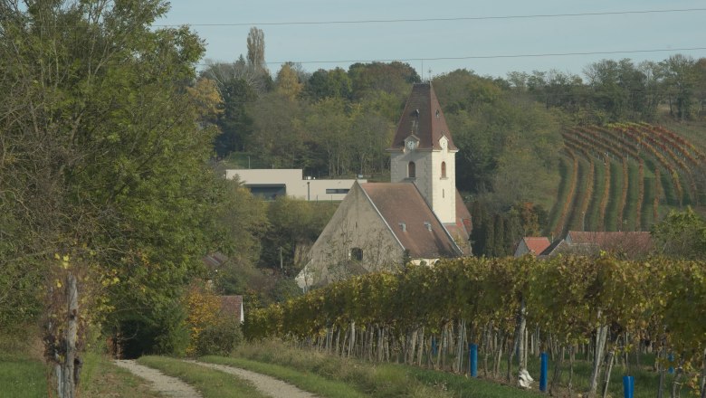 Weingärten um Ruppersthal, © IPG
