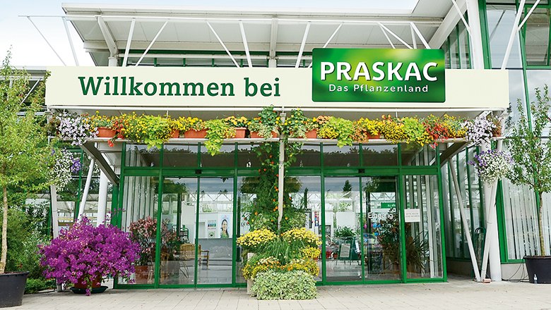 Eingang von Praskac Das Pflanzenland mit Pflanzen dekoriert.