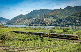 Ein gelber Zug f&auml;hrt durch eine gr&uuml;ne Weinlandschaft mit einem Fluss und H&uuml;geln im Hintergrund.