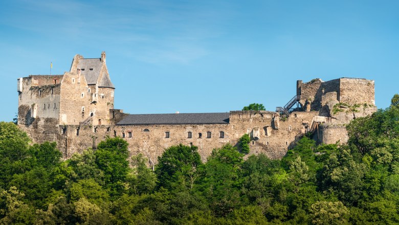 Ruine der Burg Aggstein auf einem bewaldeten H&uuml;gel vor blauem Himmel.